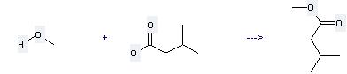 Isovaleric acid can react with methanol to get 4-methyl-butyric acid methyl ester. 